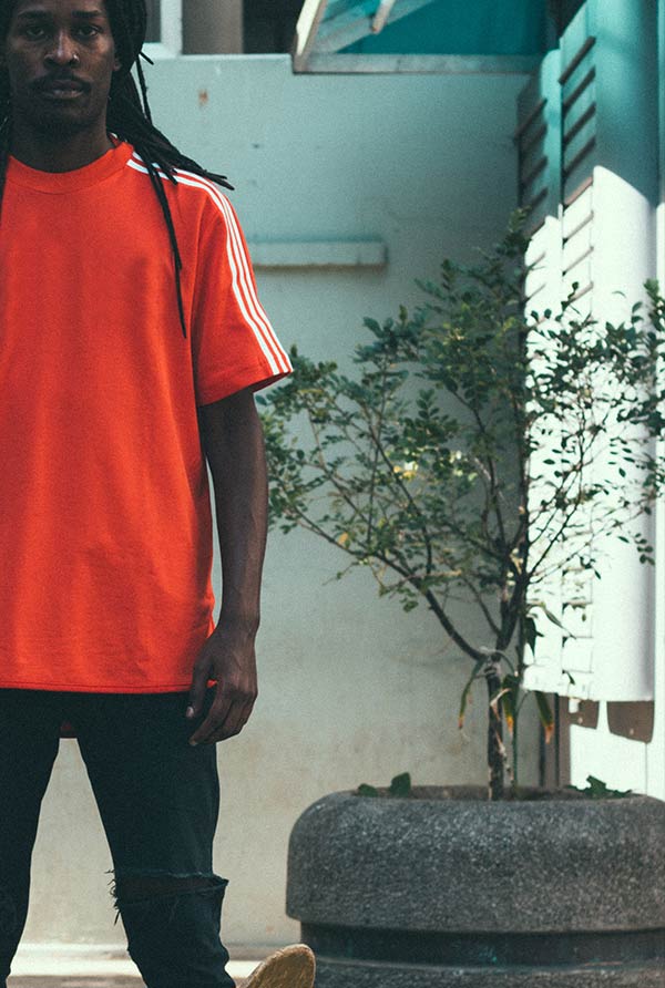 standard-home-img4c t